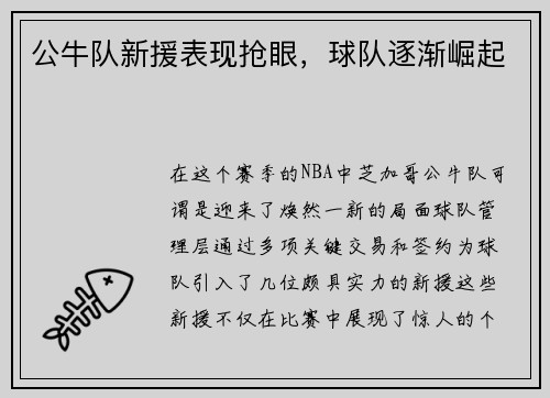 公牛队新援表现抢眼，球队逐渐崛起