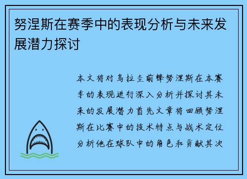 努涅斯在赛季中的表现分析与未来发展潜力探讨